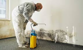 Trusted Glendora, NJ Mold Removal & Remediation Experts